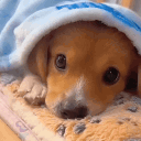 avatar ֺ ꒰ ྀི riri  ꒱ᣟ݂