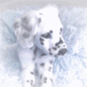 avatar ֺ ꒰ ྀི riri  ꒱