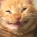screamzz