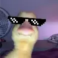 official_dukky