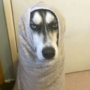 avatar ถ้ามีแฟนจะเลิกเล่นการ์ด