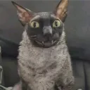 p_0_n