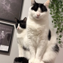 avatar ^•ﻌ•^ฅ 𝐓𝐢𝐧𝐚𝐤𝐢