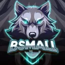 bsmall194