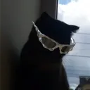 snowlevrai