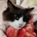 angelicamorales2 avatar