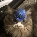 brianxchen