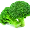 herb1845