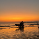 avatar RedDragon2001🐉