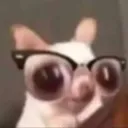whos.sebiq