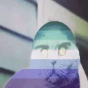 zettavevo