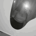 avatar 𝒷𝒶𝒷𝓎𝓍𝑔𝒾𝓇𝓁