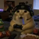 raccsacc
