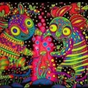 misterbollo
