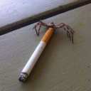 tidal5590#1493's avatar