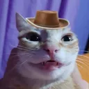jobeeboi