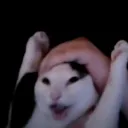 kenezutheguy