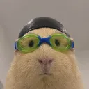 skureman