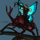 Bboll's Avatar