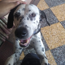 avatar Prof. J. Moriarty