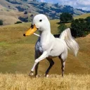 sa1vatore