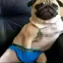 kayull