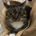 avatar ᲼᲼᲼᲼᲼᲼