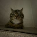 avatar ᲼᲼᲼᲼᲼᲼