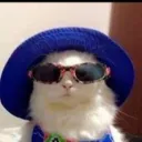 thedudeunderyourbed