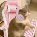 Discord Avatar