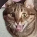 ypsi_