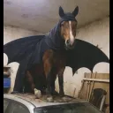 tinosito
