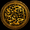 hamzabinahmad#0