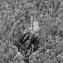 avatar 絕影（煉銅大師）