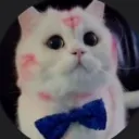 egorixx3aukaa