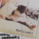 petzipetz