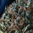 superbtef0172