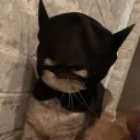 fresknek