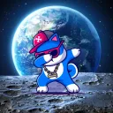 shash005