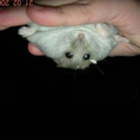 avatar _.8_2tesP79_e