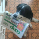 avatar Twisted Infirmus