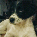 avatar Twisted Infirmus