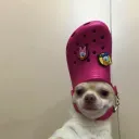 werry10