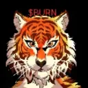 bwr123.