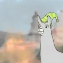 dllamas