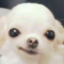 avatar grace.₊˚⊹ᰔ