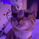 Discord Avatar