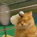 awesomeasian