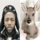 7.9999074900#2886's avatar