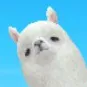 alpaca131